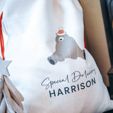 Special Delivery Christmas Boys Santa Sack