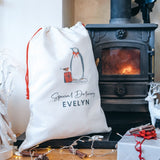 Special Delivery Christmas Boys Santa Sack
