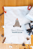 Special Delivery Christmas Boys Santa Sack