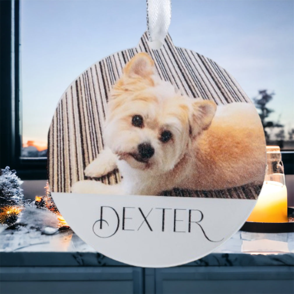 Dog, Cat, Rabbit Remembrance Bauble Gift